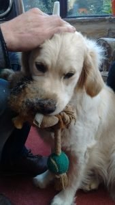 1 year old