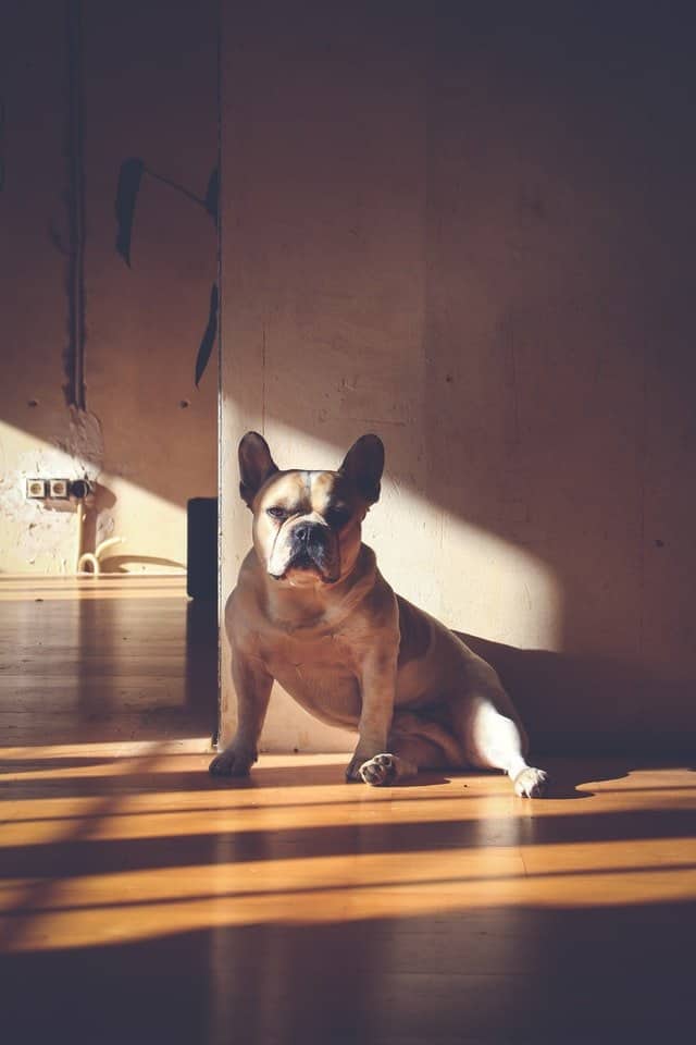 Sitting funny. Is it bone related