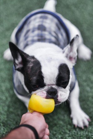 To help with teething use toys