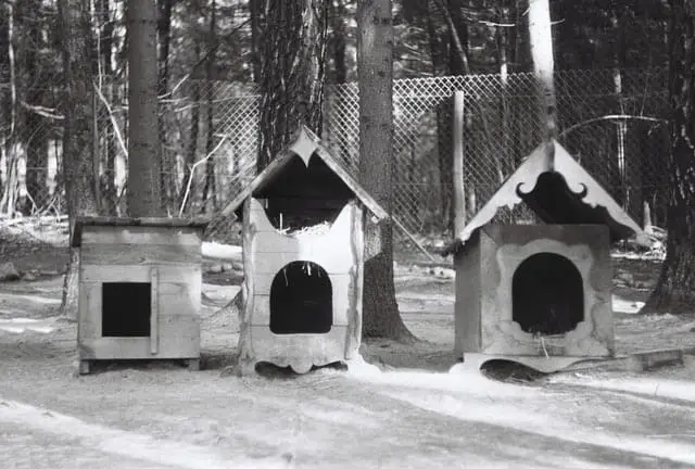 in the uk dogs outside must have a kennel