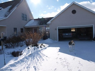 is it legal to keep a dog in a garage