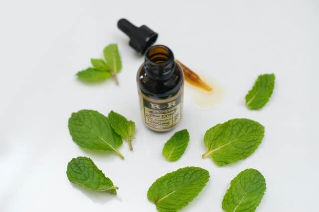 peppermint oil might help with the smell