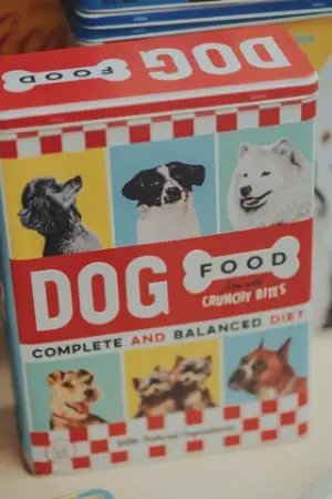 feed dog once a day