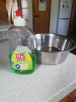 regularly wash your dogs water bowl