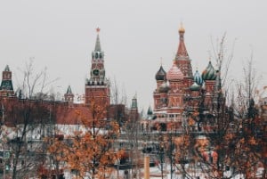 5 small Russian dog breeds
