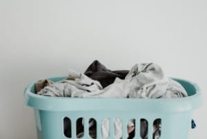 How long can parvo live on clothes