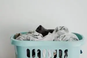 How Long Can Parvo Live On Clothes Quality Dog Resources