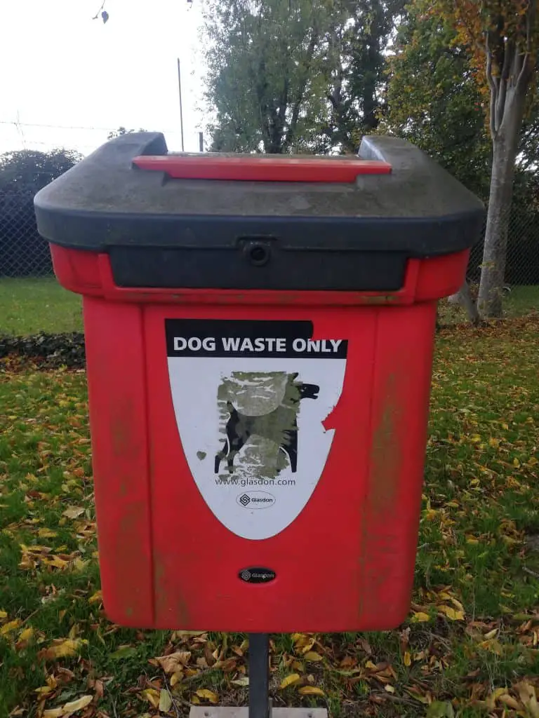 how to prevent dog poop from smelling