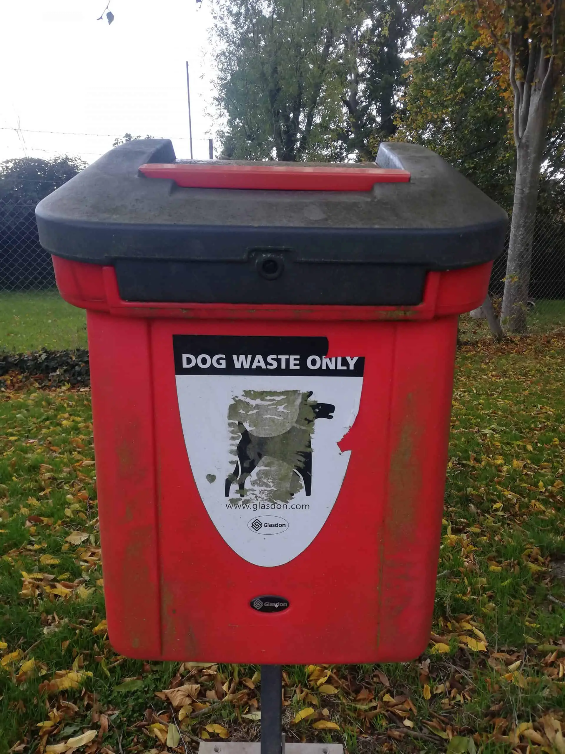 how to prevent dog poop from smelling scaled