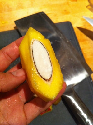 my dog ate mango seed