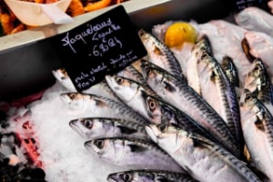 can dogs eat mackerel
