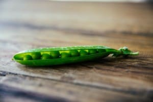can my dog eat pea pods