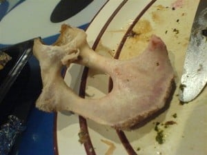 my dog ate a lamb bone and is throwing up