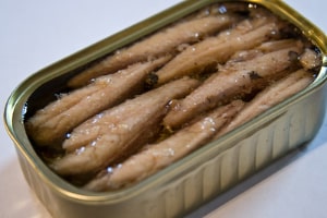 can a dog eat sardines in oil