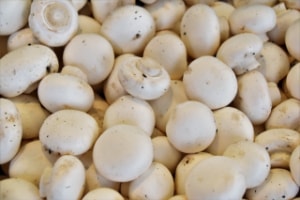 can dogs eat button mushrooms