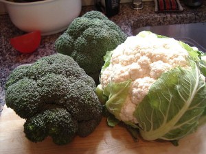 dogs eat broccoli and cauliflower
