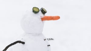 frozen carrots for dogs