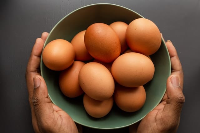 how many eggs can a dog eat in a day