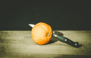 how much raw pumpkin should I feed to my dog