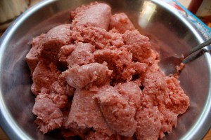 my dog ate wet cat food