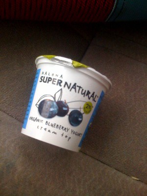 Can dogs eat blueberry yogurt