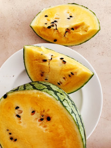 can dogs eat yellow watermelon 1