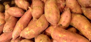 dogs sweet potato days