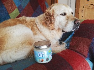 Does coconut oil cure dog ear infections 1