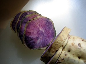 can dogs eat ube