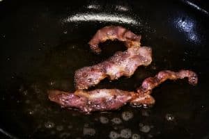 can dogs eat bacon grease