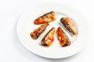 can dogs eat pilchards in tomato sauce