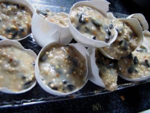 suet cakes birds