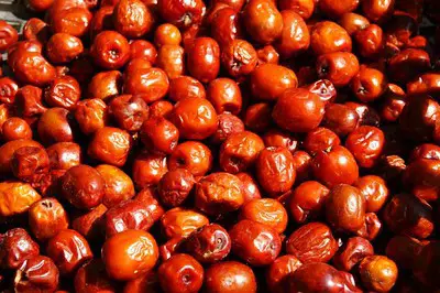 Can dogs eat jujube fruit