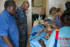 dog neuter wound open
