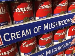 dogs eat cream of mushroom soup