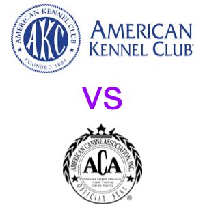 akc vs aca featured image