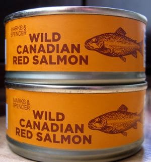 can dogs eat canned salmon