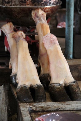 can dogs eat cow hooves