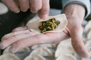 can dogs eat dumplings
