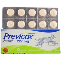 previcox killed my dog