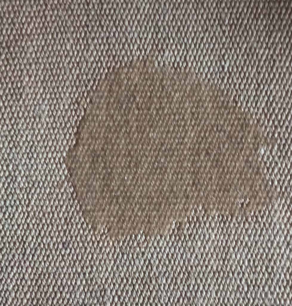 dog leaves odorless wet patch