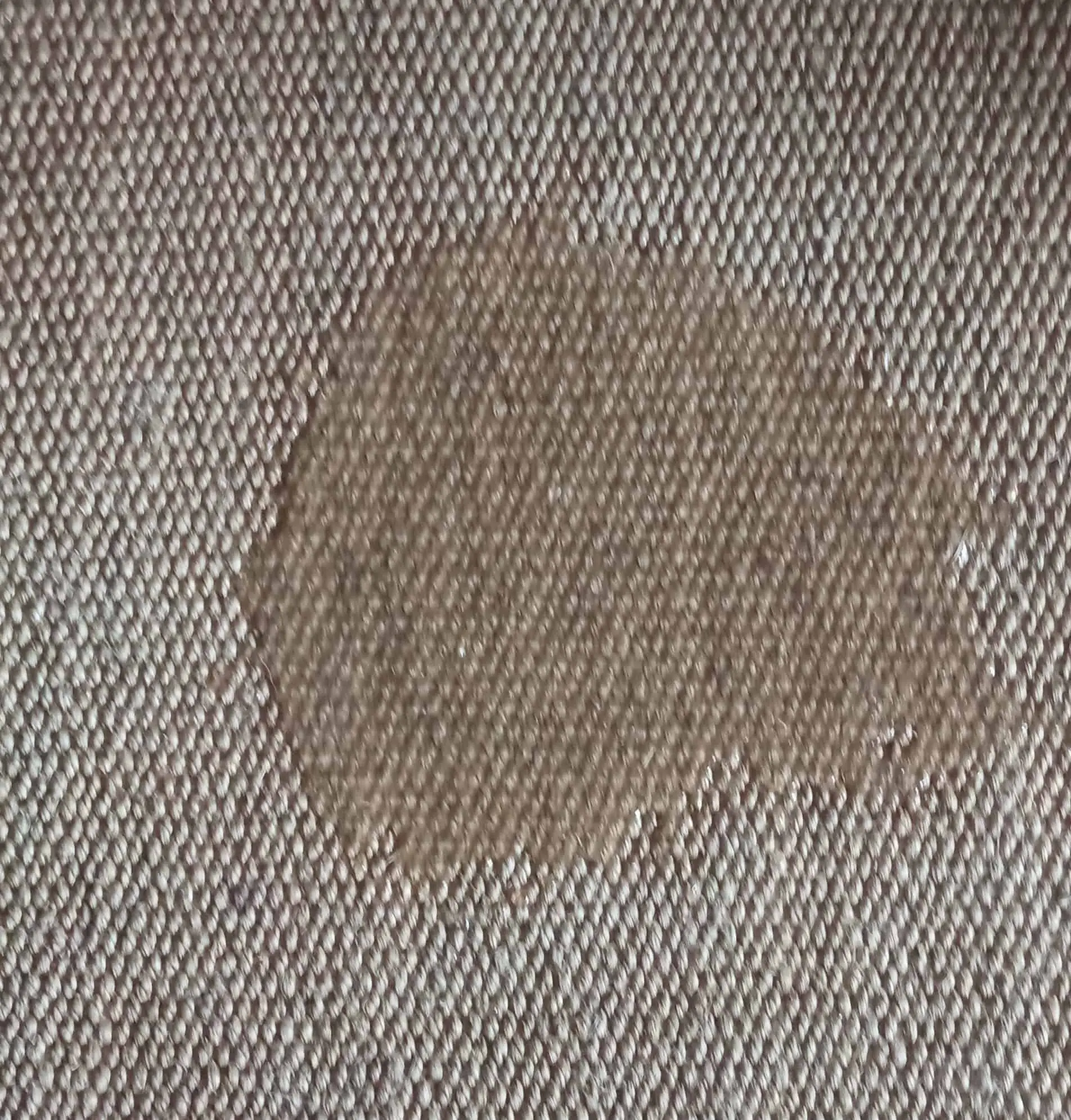 A wet patch on a rug