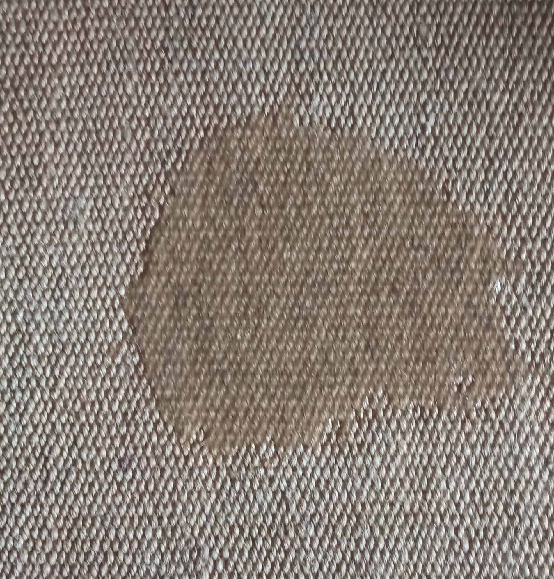 Why Is My Male Dog Leaking Clear Fluid? - Quality Dog Resources 