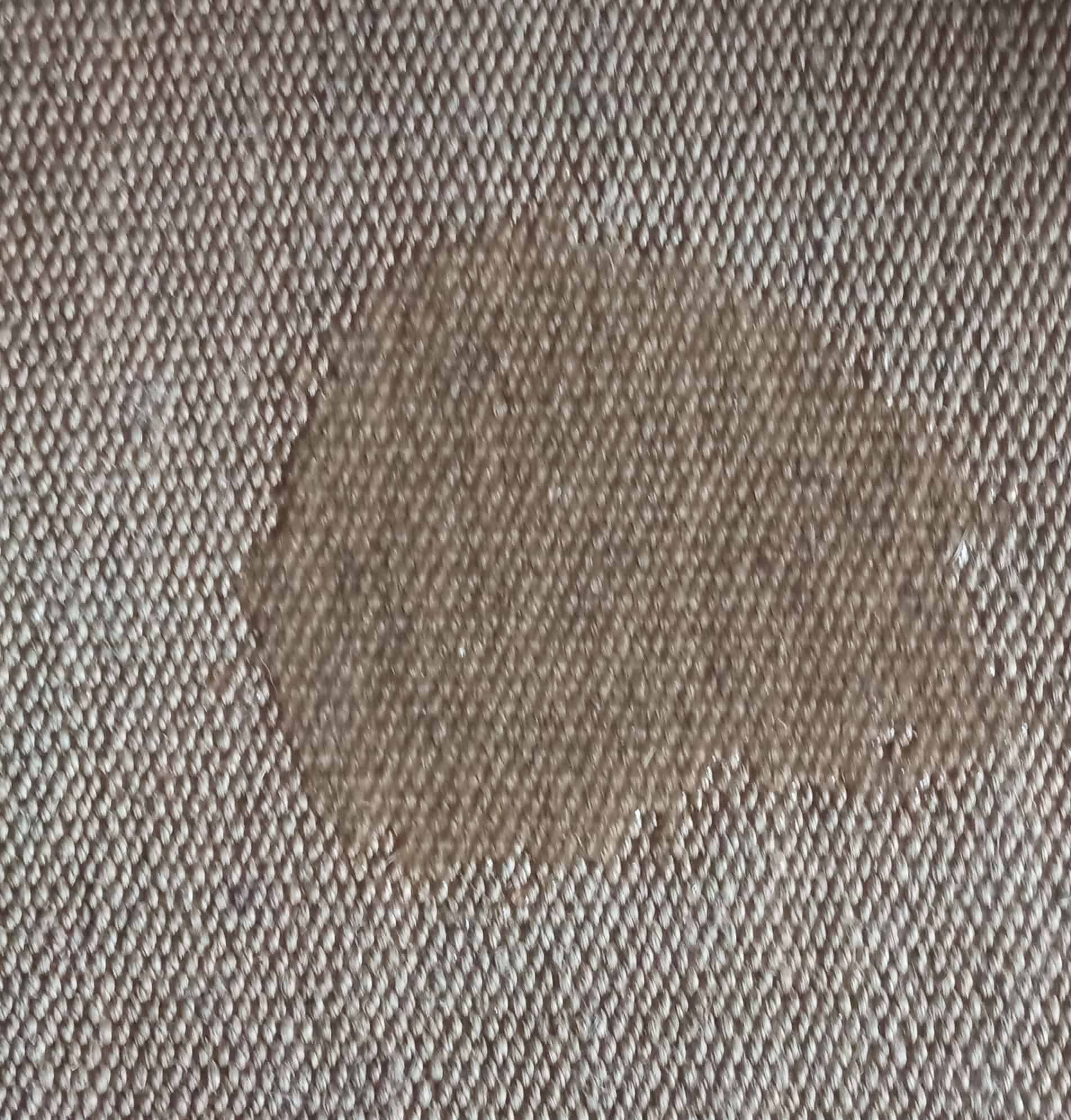 A wet patch on a rug