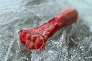can dogs eat lamb bones