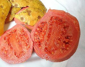 can dogs eat red guava