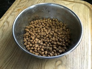does kibble make dogs poop more