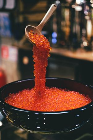 Can dogs eat caviar