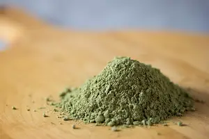 Can dogs eat matcha