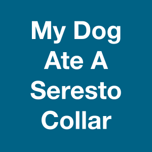 Dog Ate Seresto Collar